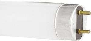 Люминесцентная лампа  Camelion  T8  15Вт  6500К  G13